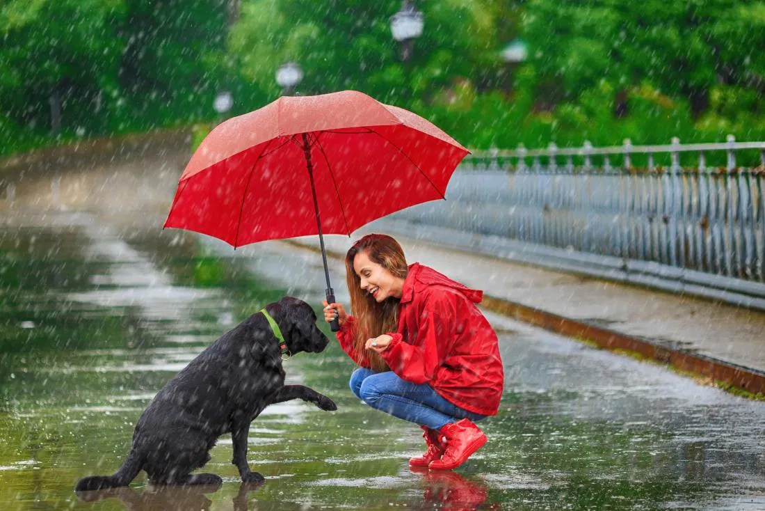 rain
